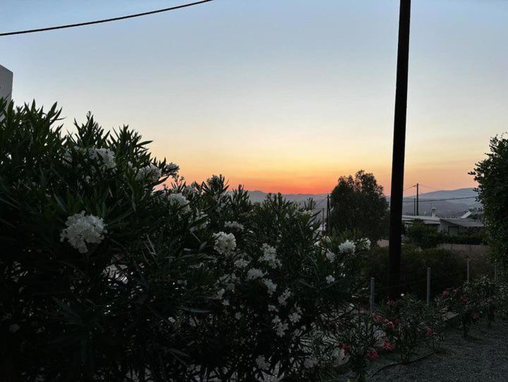 Alonia View House Asklipiion