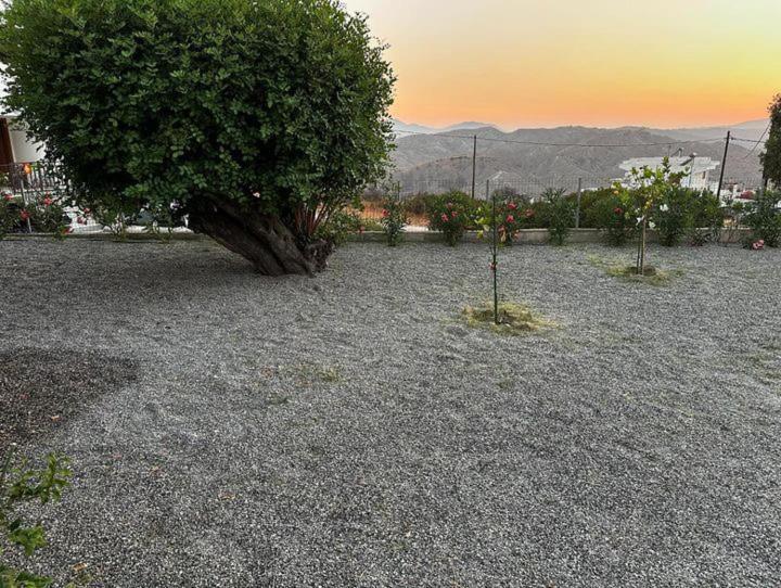 Alonia View House